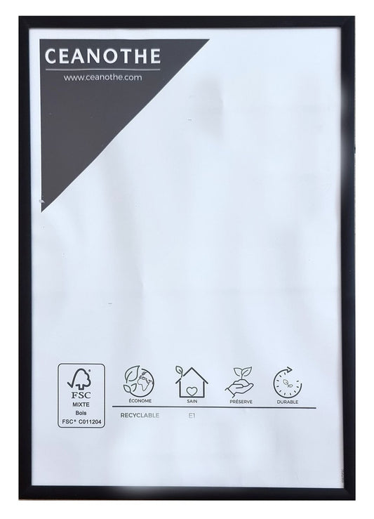 Ramka  21x29,7cm AL2130GDblack